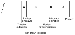 geologic-history, reference-tables, earth-history, earth-history, geologic-time-units-and-the-events, standard-6-interconnectedness, magnitude-and-scale fig: esci12012-examw_g25.png